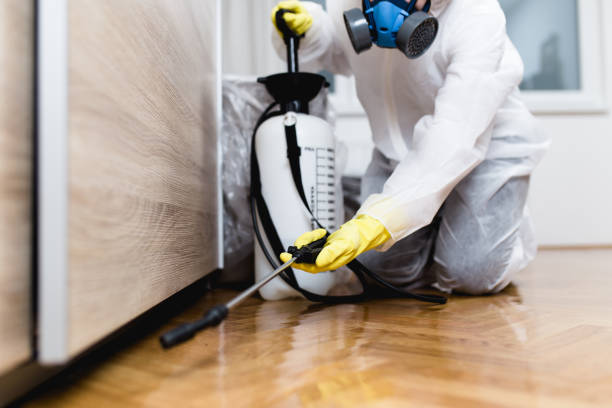 Best Local Pest Control Services  in Day Valley, CA