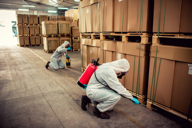 Best Termite Control Services  in Day Valley, CA