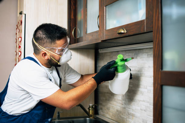  Day Valley, CA Pest Control Pros