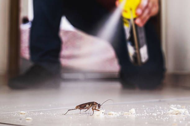 Reliable Day Valley, CA Pest Control Solutions