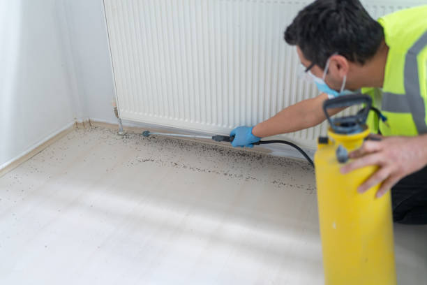 Best Wasp Removal Services  in Day Valley, CA