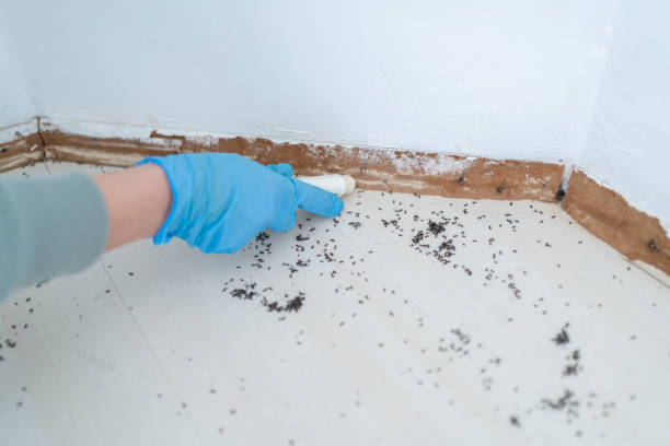 Best Pest Inspection Near Me  in Day Valley, CA